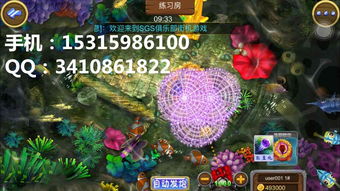 細(xì)數(shù)捕魚游戲軟件開發(fā)的游戲技巧 趣味性十足與經(jīng)典套路設(shè)計(jì)